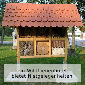 01_Wildbienenhotel300.jpg